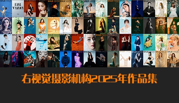 右视觉2025年摄影作品回顾