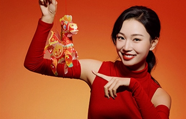 新年快乐 柿柿如意