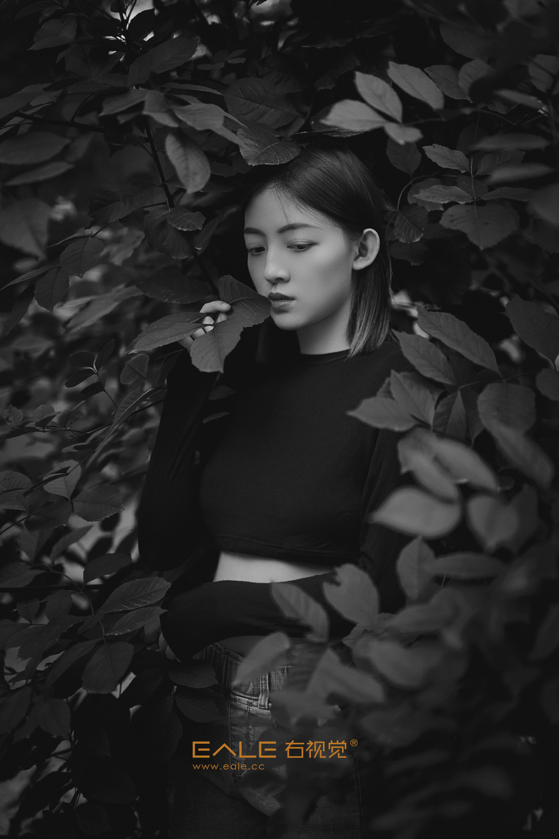 ZHUASII-04