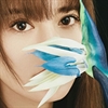 阿兰