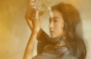 弄影系 新未了情